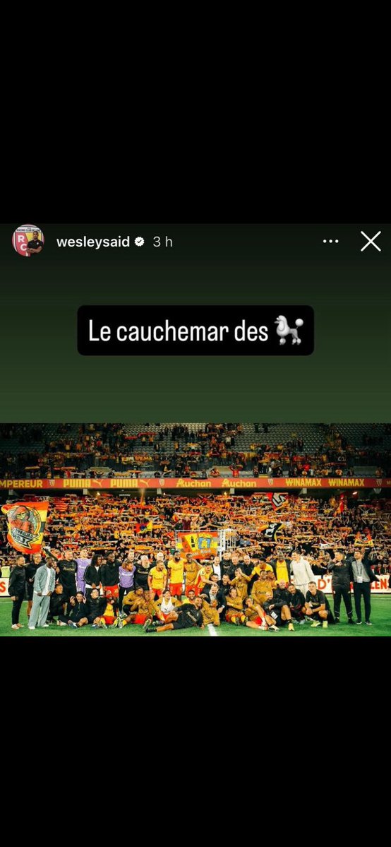 clem.ldst tweet media