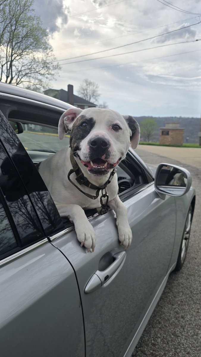 Erin Koper tweet media