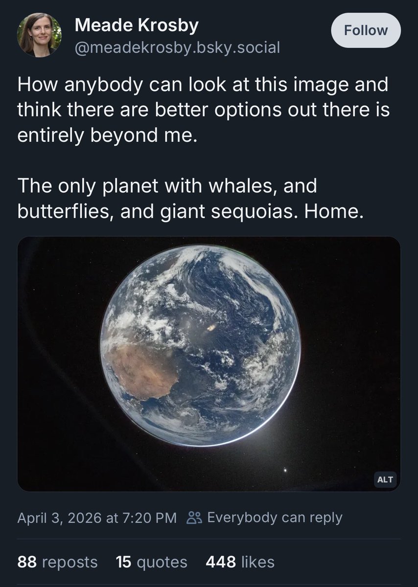 Sebastian Baumer 🍃 tweet media