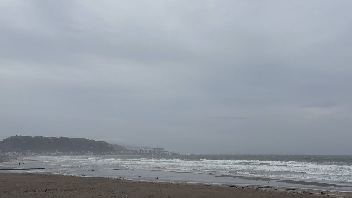 たにじゅん tweet media