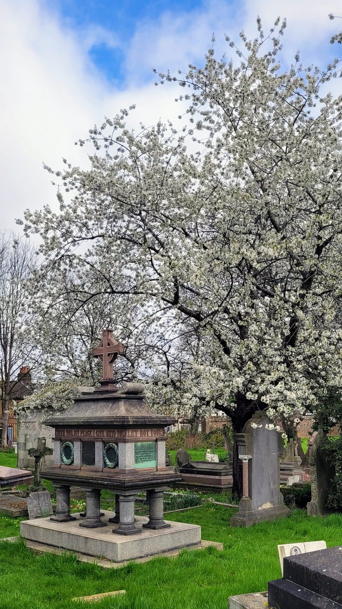 DarylM22101's tweet photo. A walk from Brixton to Nunhead with my daughter Keilyn, today, saw us visit Brockwell Park, West Norwood Cemetery, Dulwich Wood, Camberwell Old Cemetery and Nunhead Cemetery. #LondonWalks #London #Cemetery #BrockwellPark #WestNorwood #Nunhead https://t.co/s5RTEG3Vvr