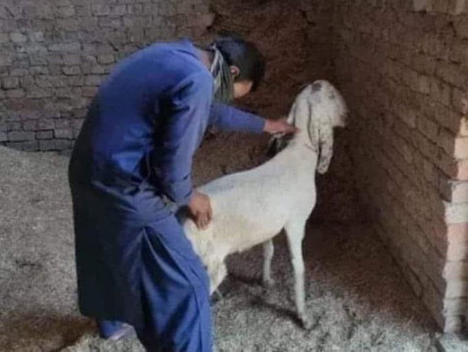 Christus tweet media