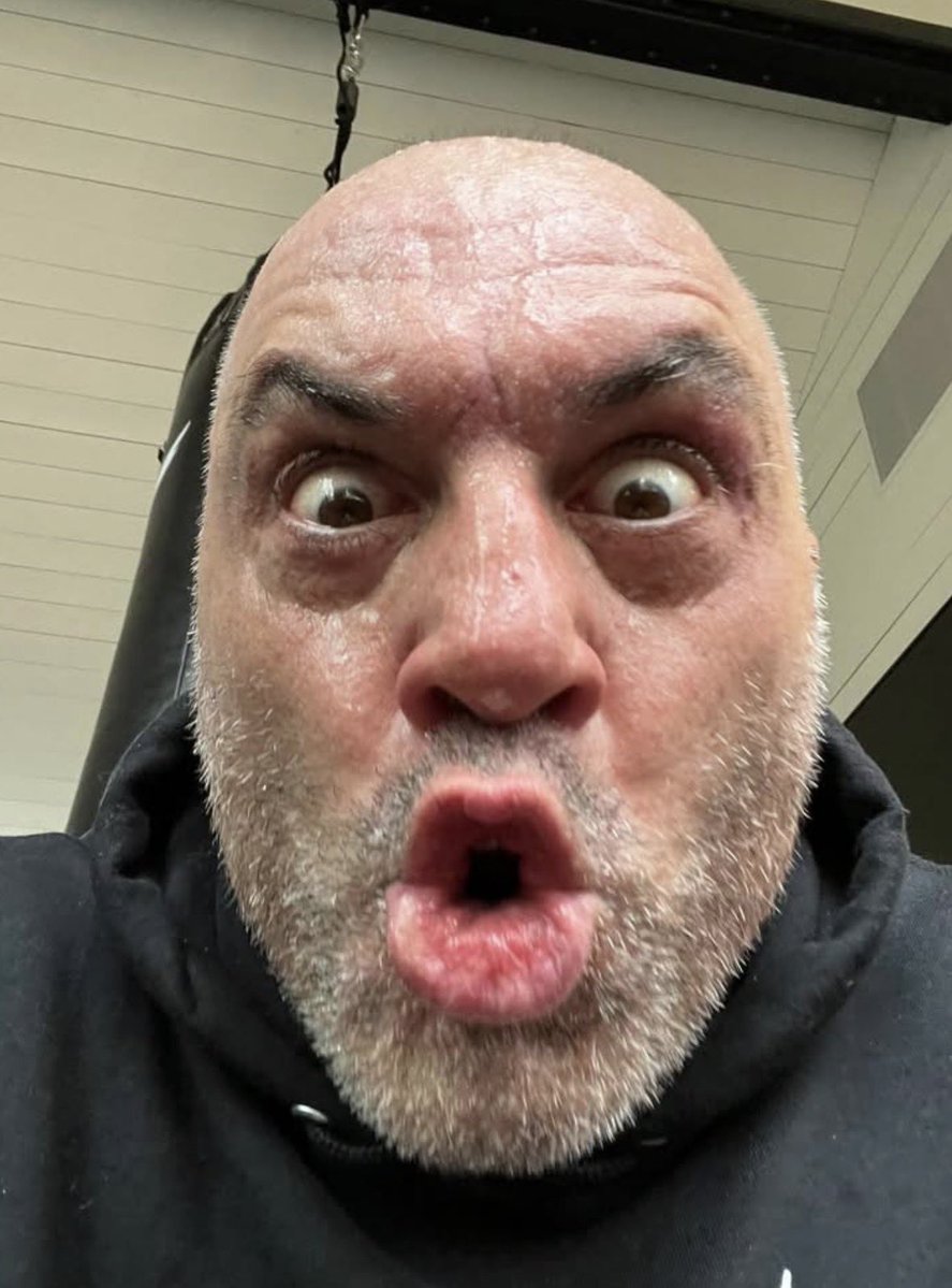 Bosch Fawstin tweet media