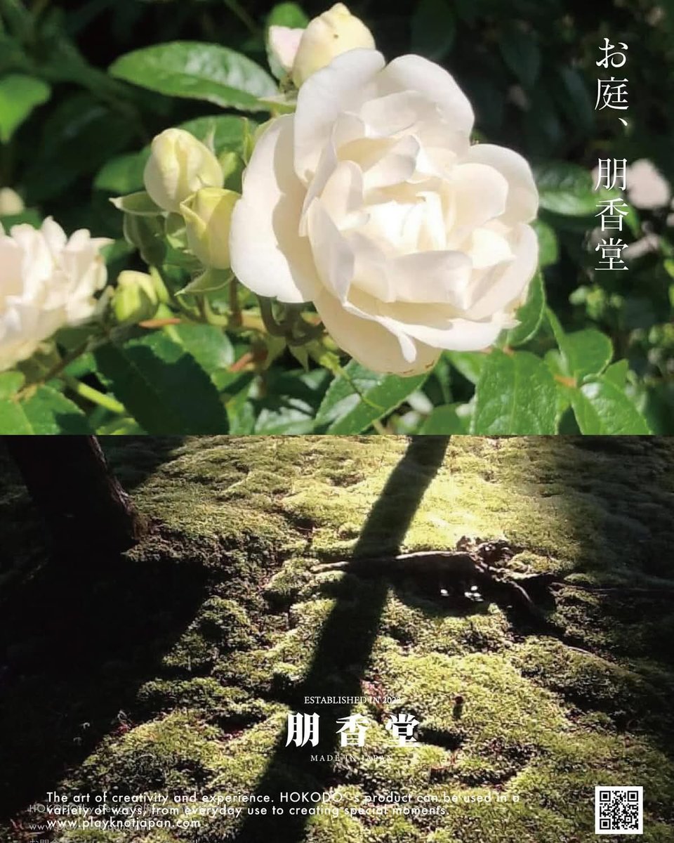 リトルベアーズ tweet media