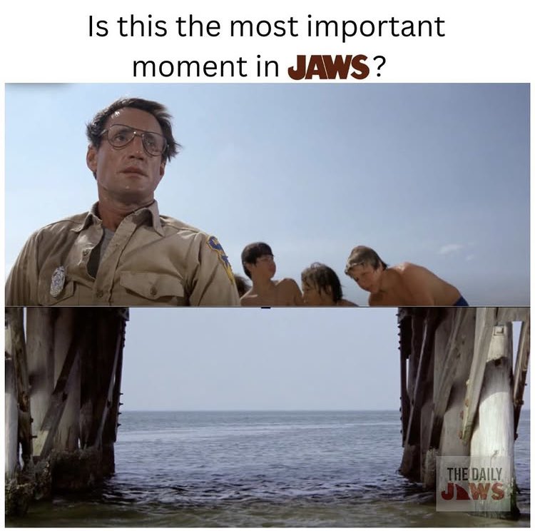 The Daily Jaws tweet media