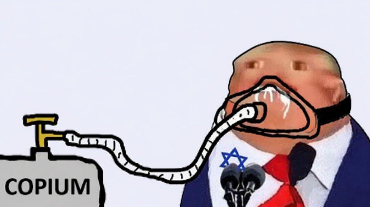 One More Fool tweet media