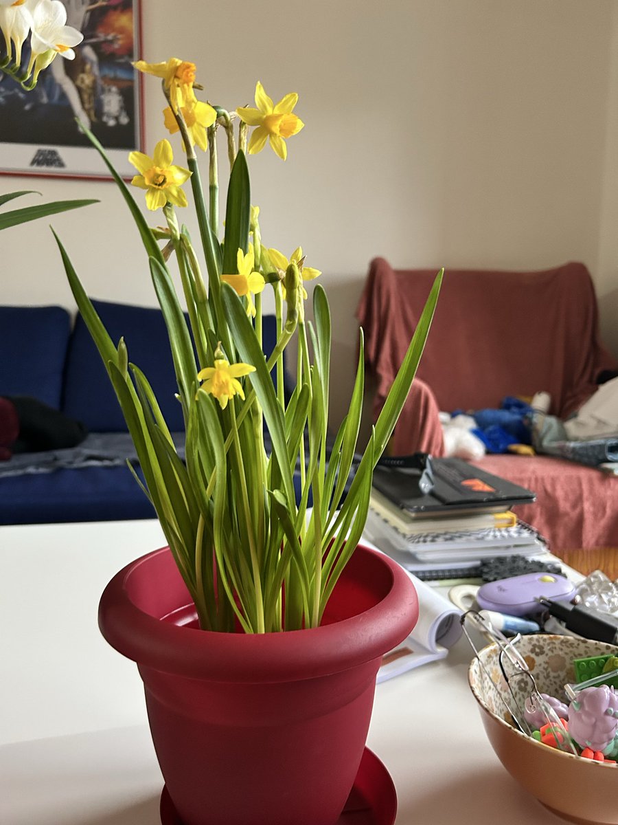 𓍢ִ໋🪻₊˚*ੈHelen⋆♡⸝⸝🪐༘⋆ tweet media