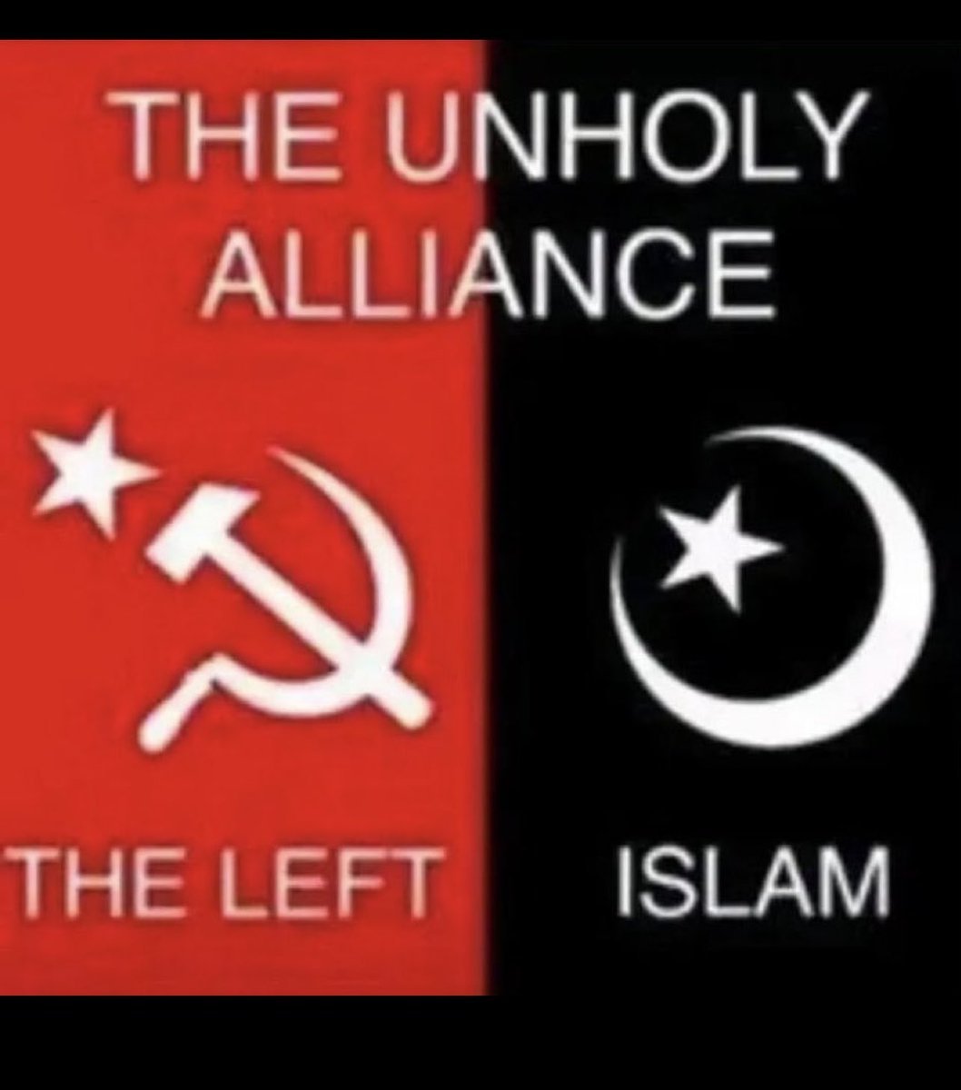 Suzi Kota tweet media