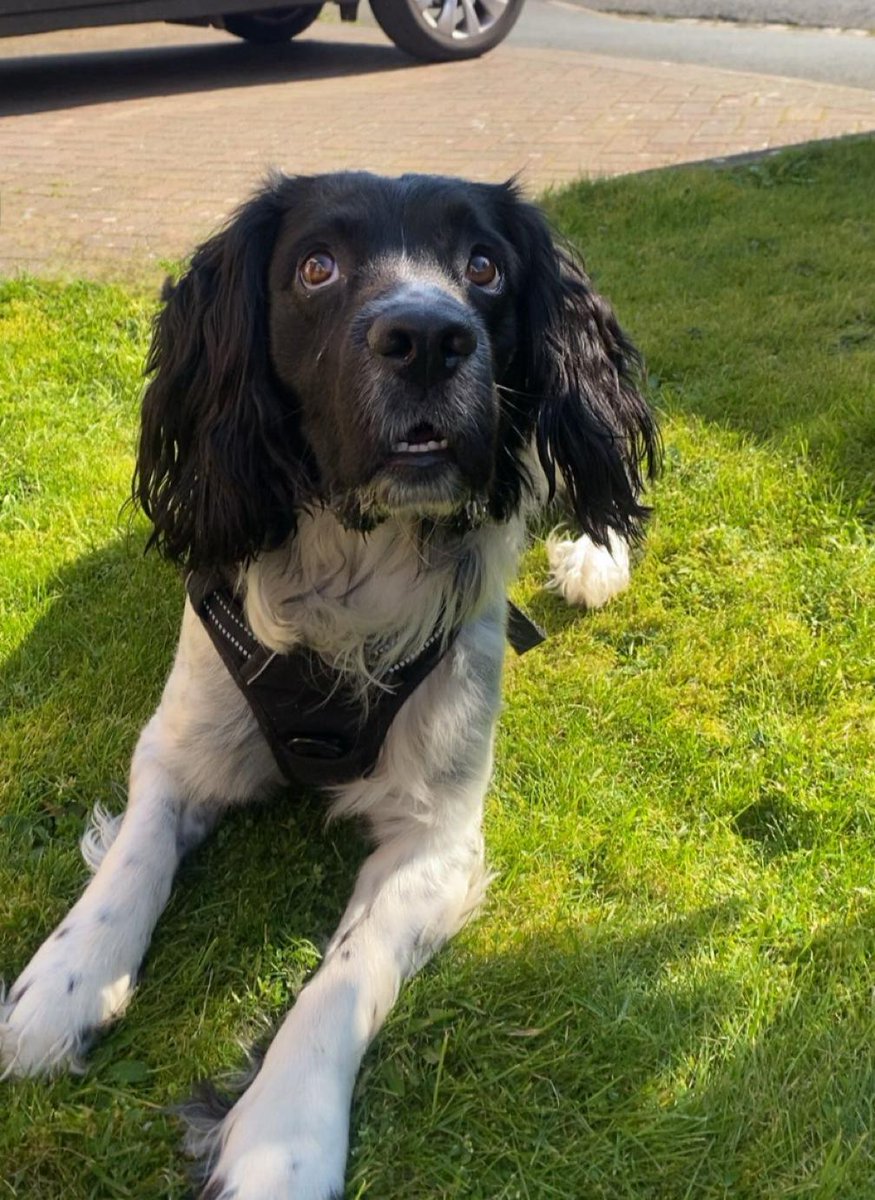 noddywba𓅪 tweet media