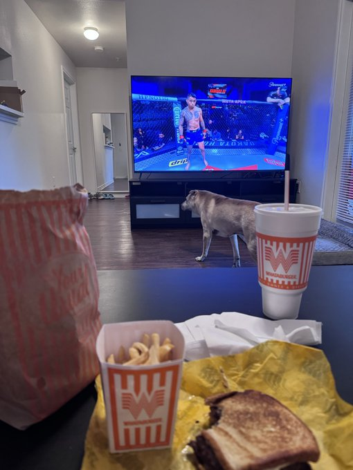 Polymath tweet media