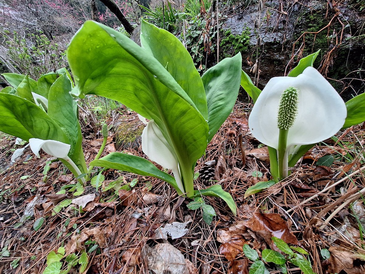 埼労連　SAIROREN【公式】 tweet media