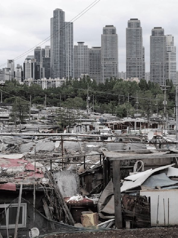 fia ✿ TAMPA 2026 tweet media