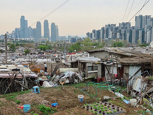 fia ✿ TAMPA 2026 tweet media