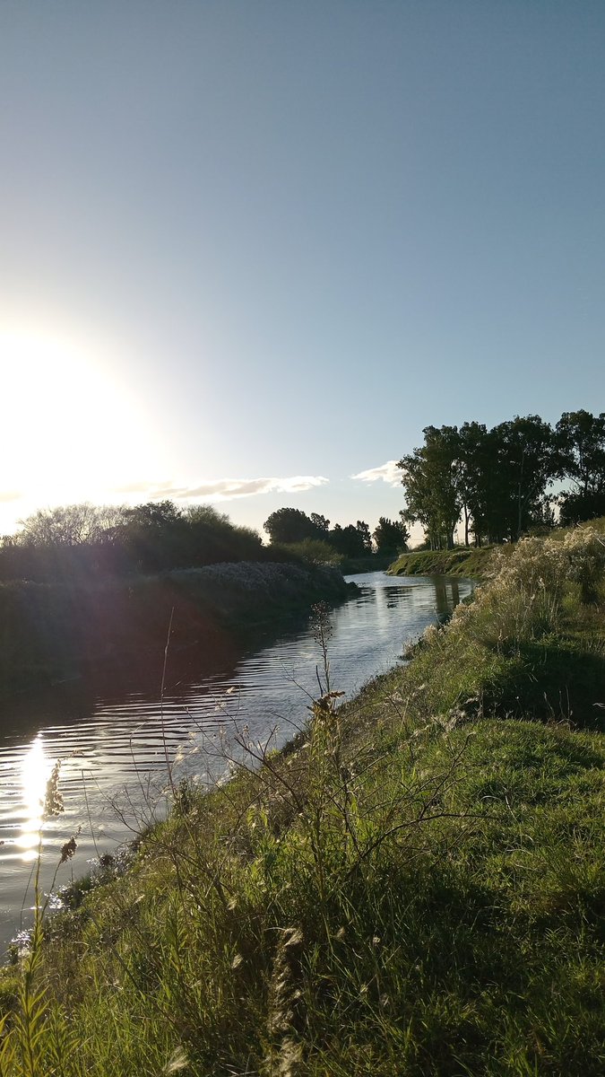 ~JunBu Poask~ open comision tweet media