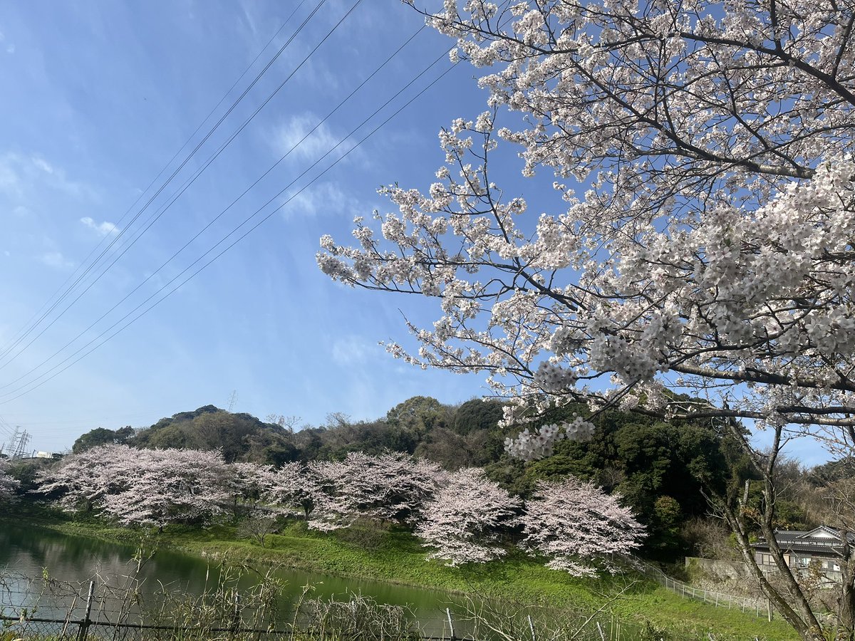 masAcky（まさっき〜） tweet media