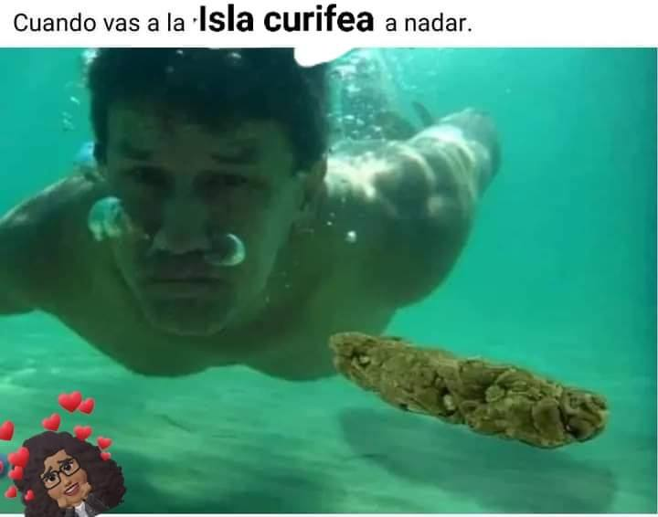 KARBIENKIP tweet media