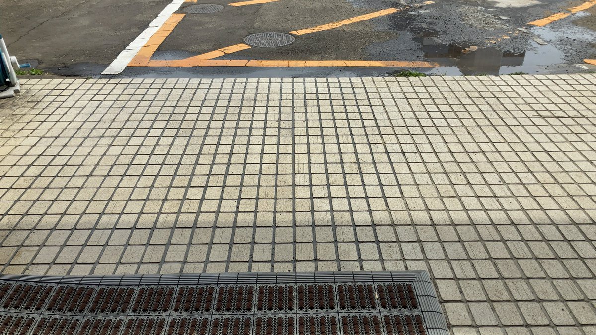 S (ﾂｲｰﾄはﾂﾘｰ全体をご確認ください) tweet media