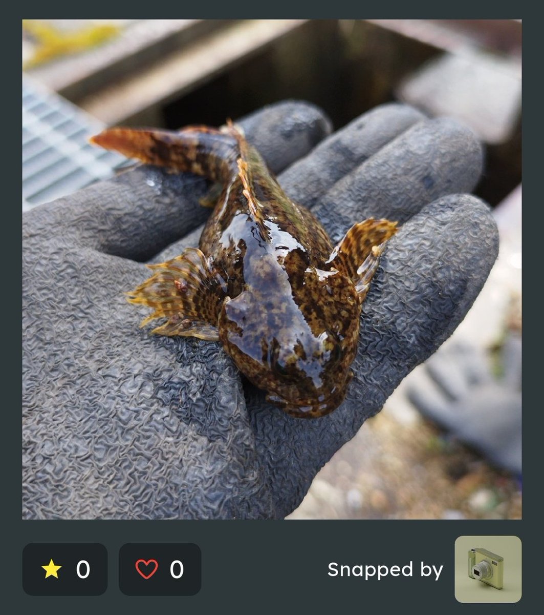 飛騨ベース tweet media