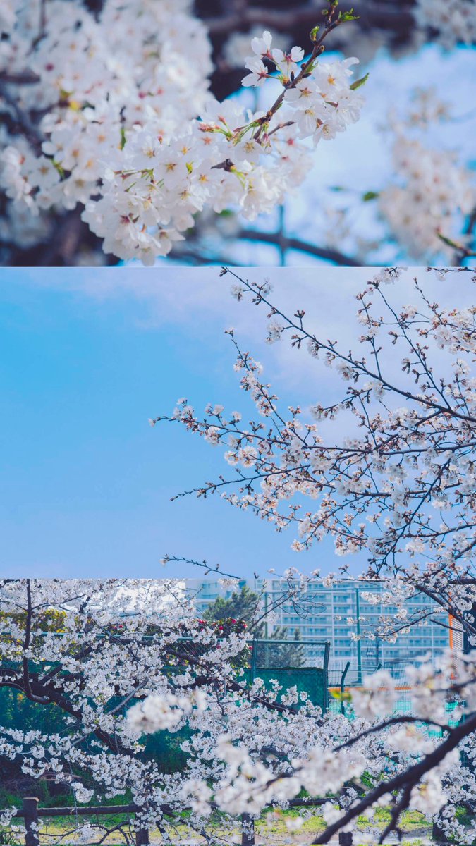 mainactor_jup's tweet photo. お誕生日なので復活してきました
新しい気持ちで動きだしたいな🌱 https://t.co/d5ikPj88gf
