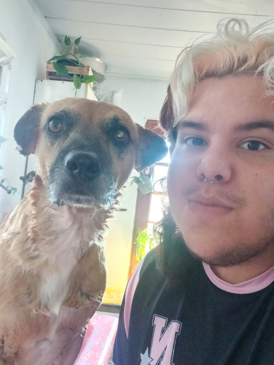 morphǝu tweet media