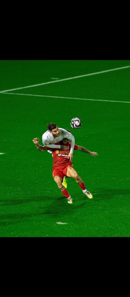 👸🌼 tweet media