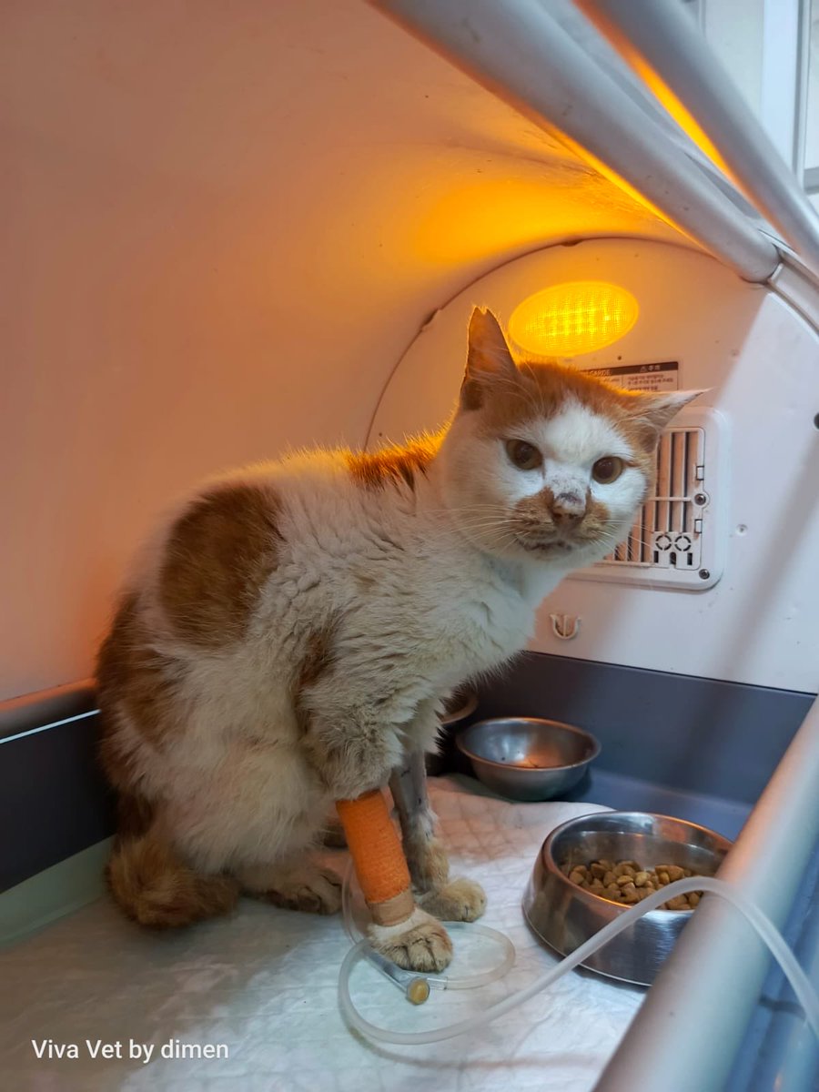 Anissa Nadia F tweet media