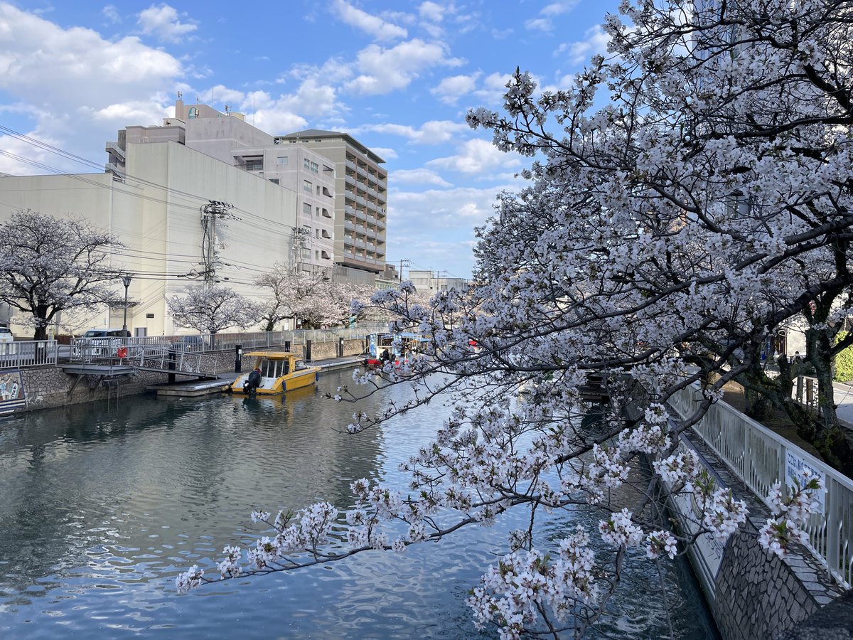dankberg_k's tweet photo. 高知のいろんなとこの桜🌸 https://t.co/5SvoNWZaO2