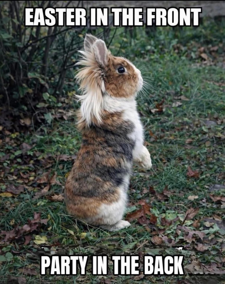 Bill Bair tweet media