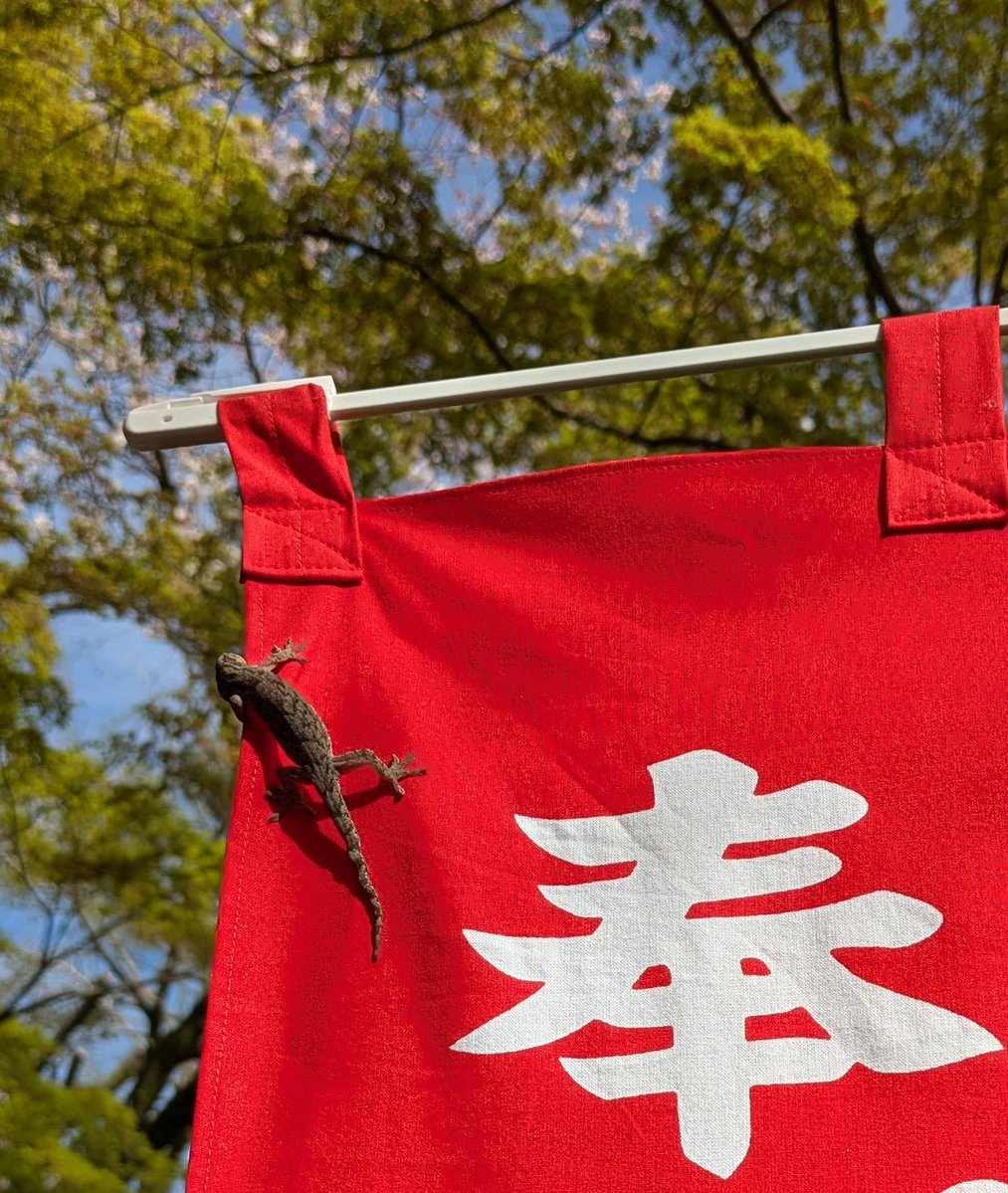 ラギ(LPC-90) tweet media