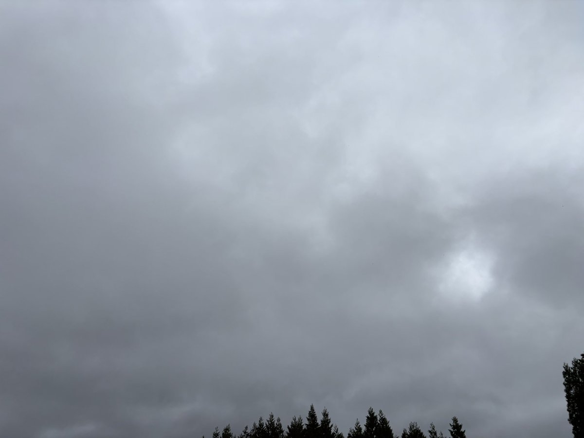 うめちゃん tweet media