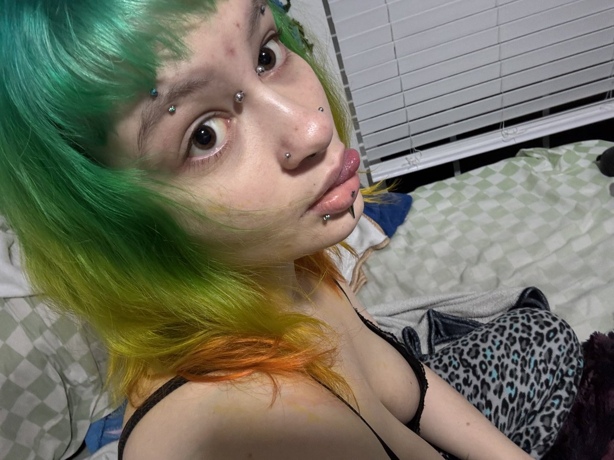 pae⋆˚࿔🪲scotts love bug tweet media