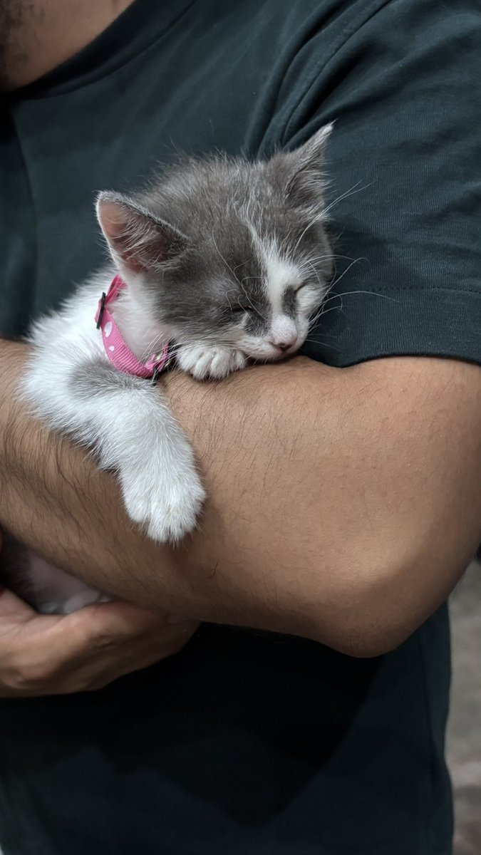 ✿ vika alvarez °•*⁀➷ tweet media