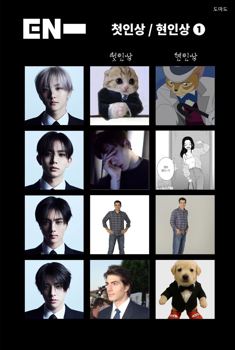 개샴푸 tweet media