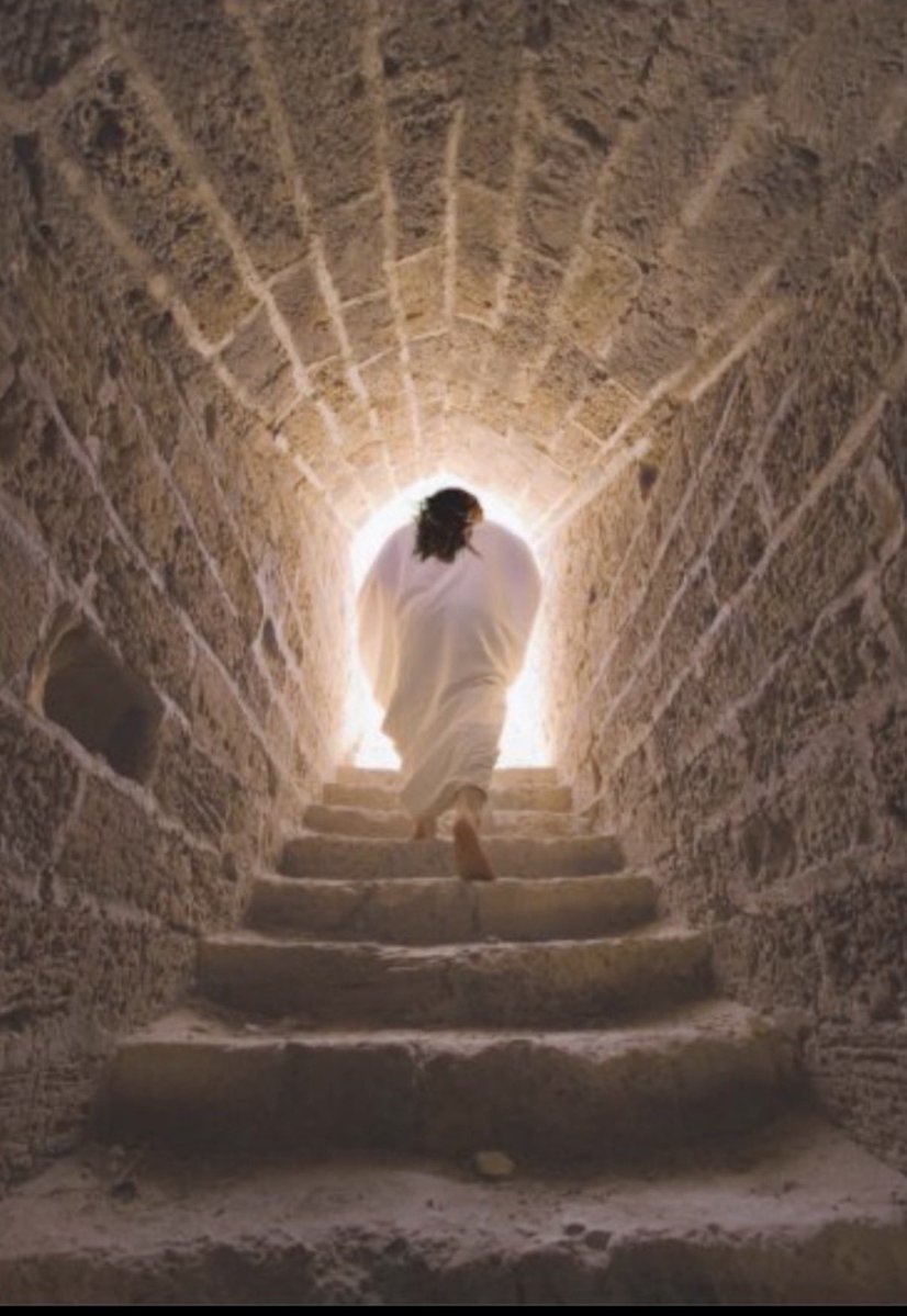 Simple as _Jade 🌿🕊️ tweet media