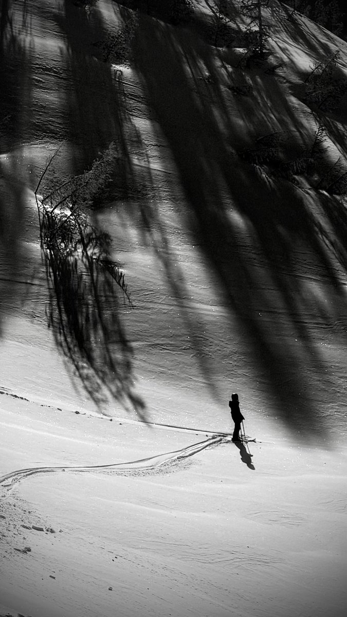 Matt Nelson tweet media