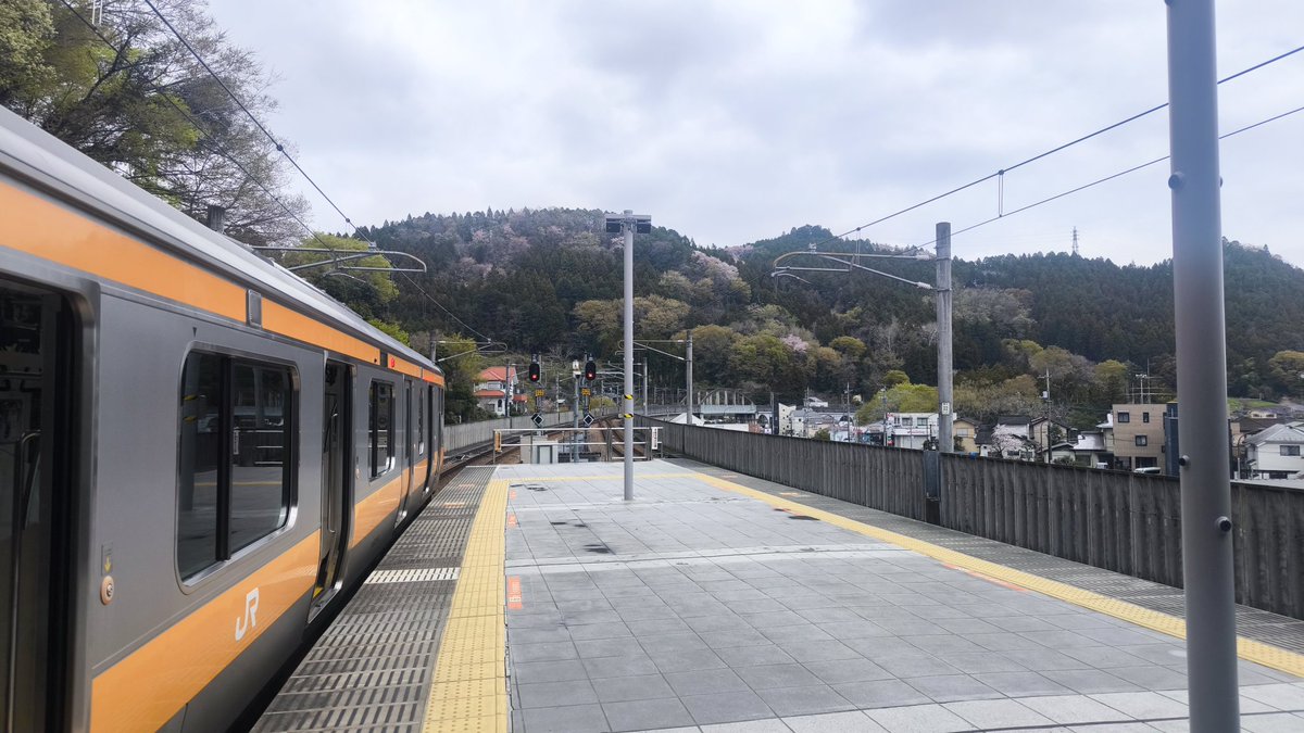 カスミ by よしさん tweet media