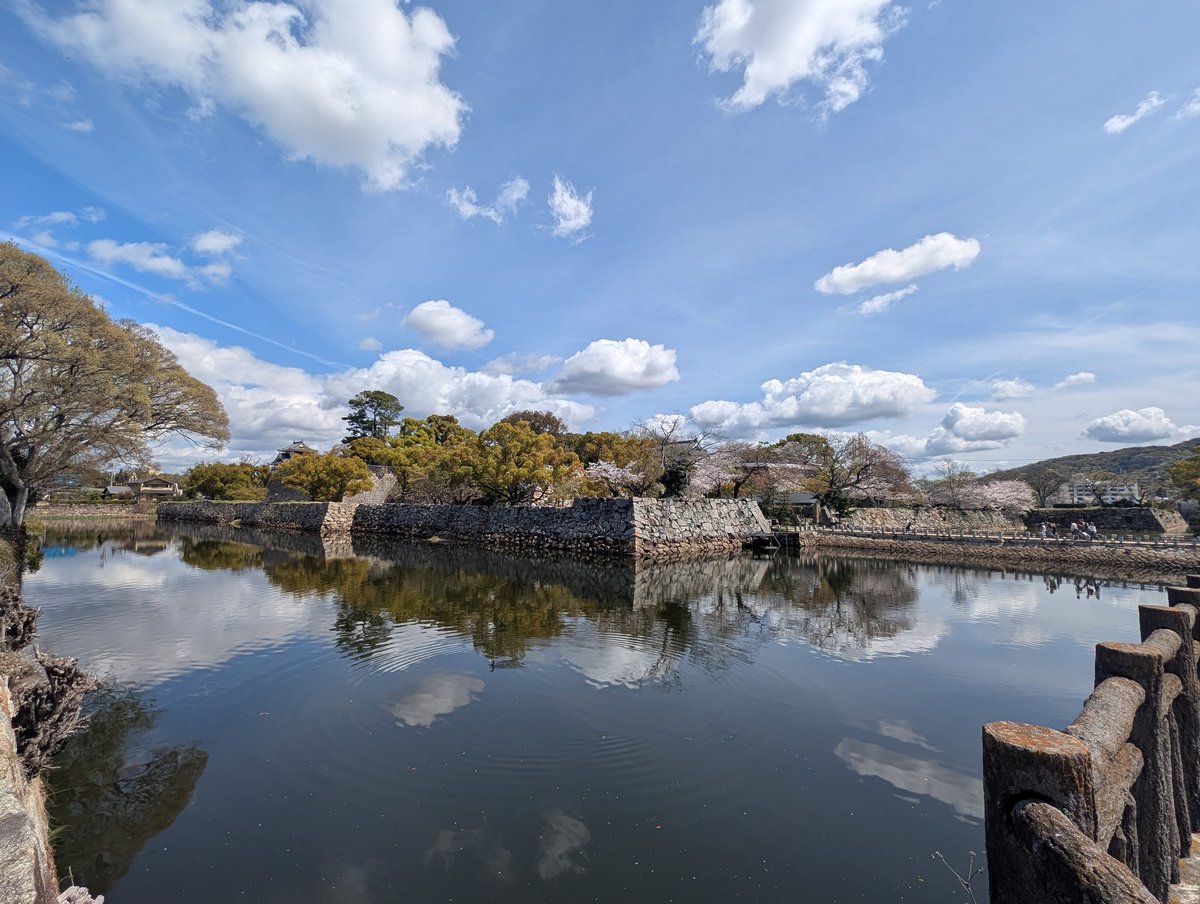 chiro6699's tweet photo. 岡山城の堀 https://t.co/4xIMeM1GxZ