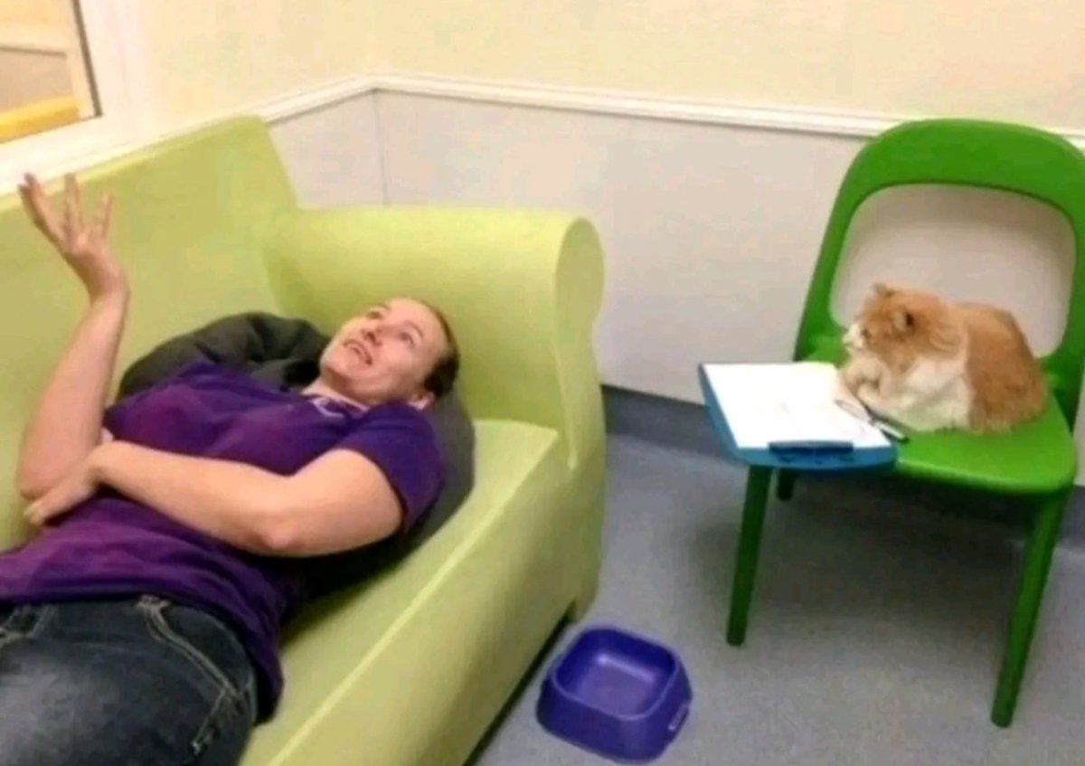 Ɗaƴꪜᵀᵏ NO VERÁ A BTS tweet media