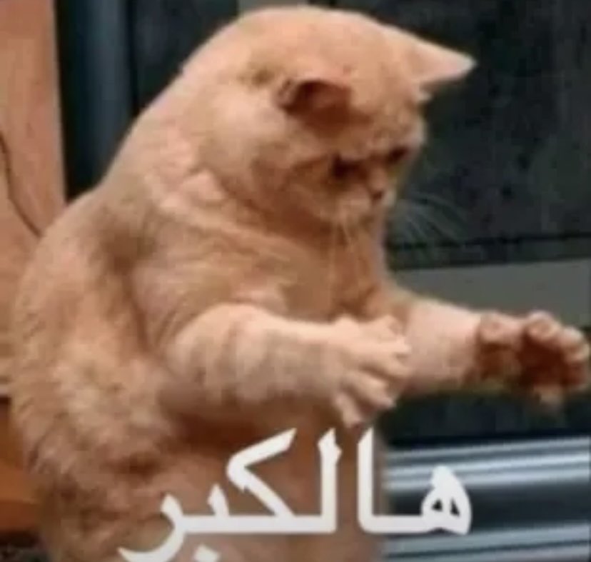 欧雅达 tweet media