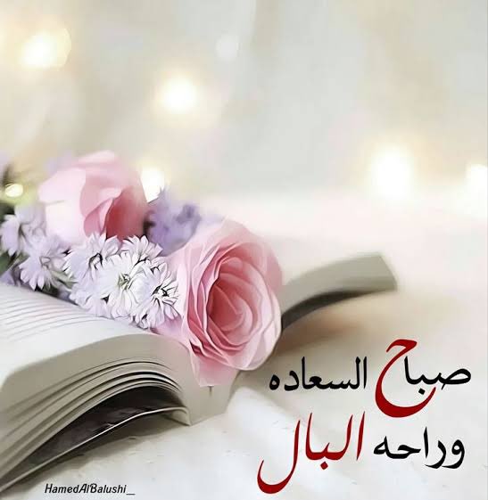 نـــــnorــــــور👌 tweet media