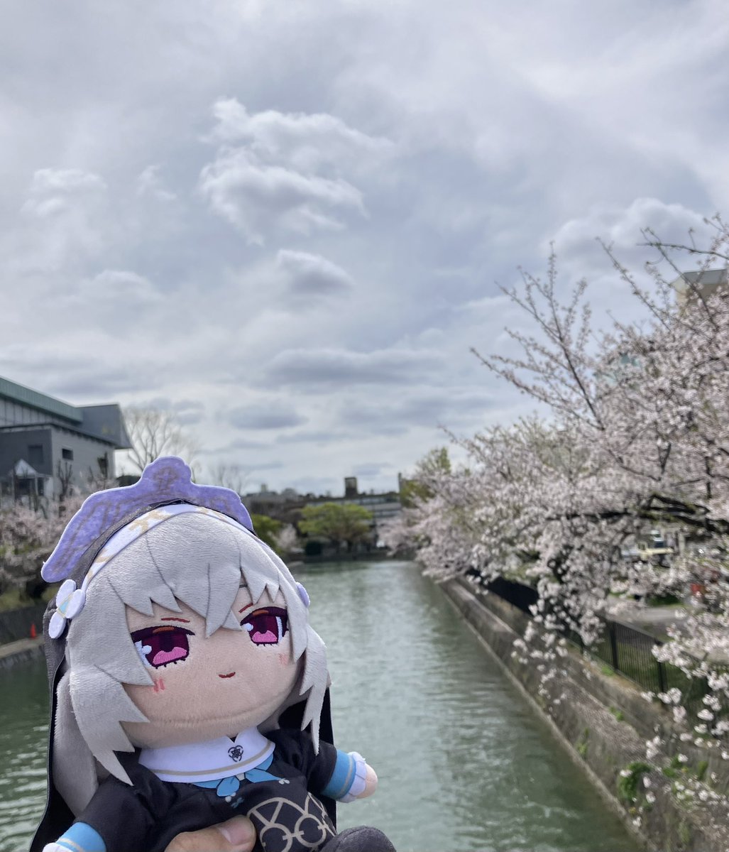 ジャミラ@4/5ブルーマーケットH-03 tweet media