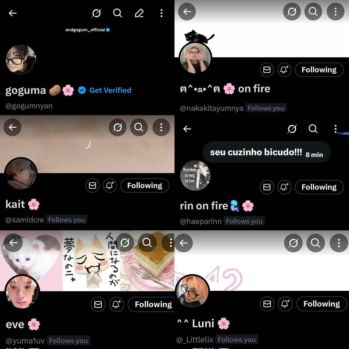 goguma 🥔🌸 tweet media