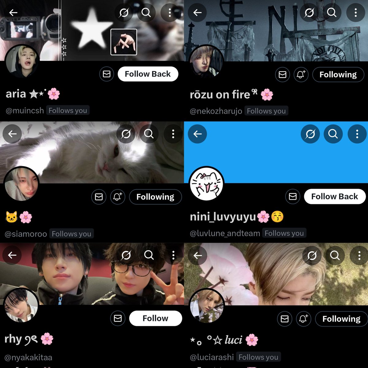 goguma 🥔🌸 tweet media