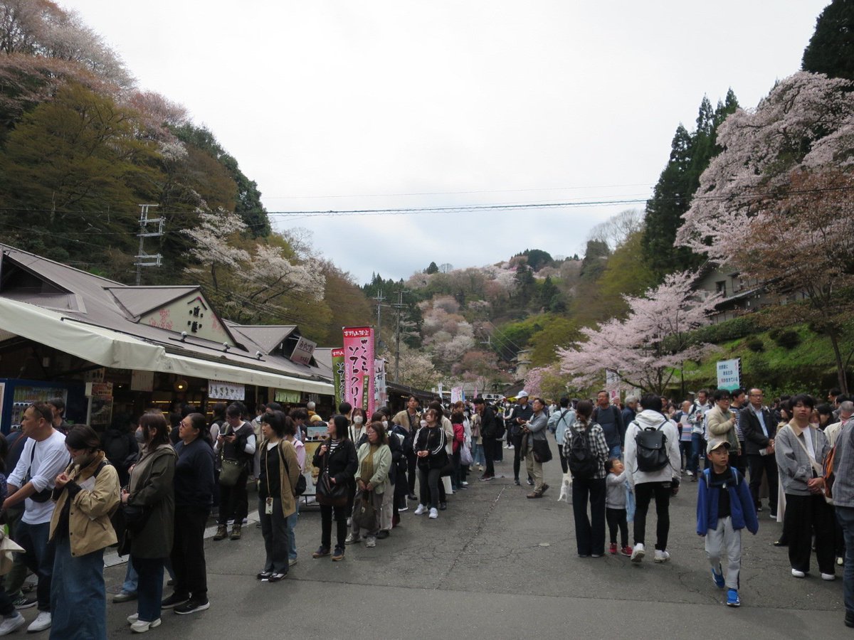 ねぎみそ tweet media