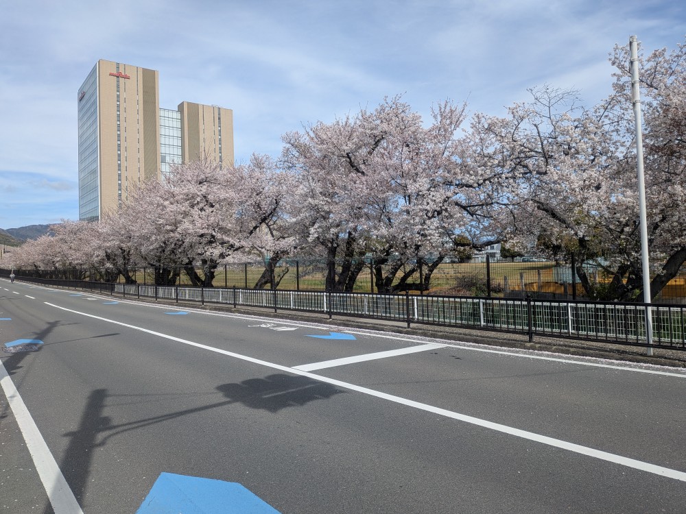 4mini_Kit_Biker's tweet photo. #京都府知事選挙
選挙にちゃんと行ってきた・・・
川沿い歩いて自分の選挙区の小学校まで散歩

春やねぇ_(:3 」∠)_ https://t.co/g5MeSW1bkr