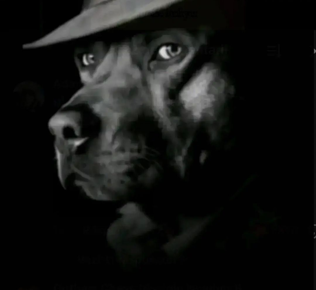 Barnacle Boy tweet media