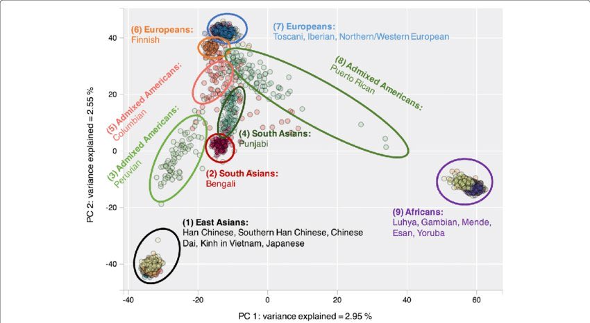 GeedZero tweet media
