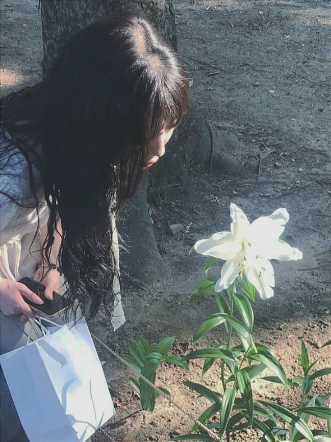 Aranea 🌕 🕸️ tweet media