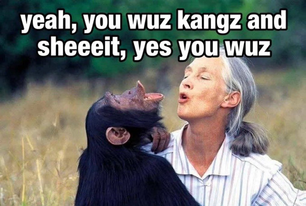 HollowMindK tweet media