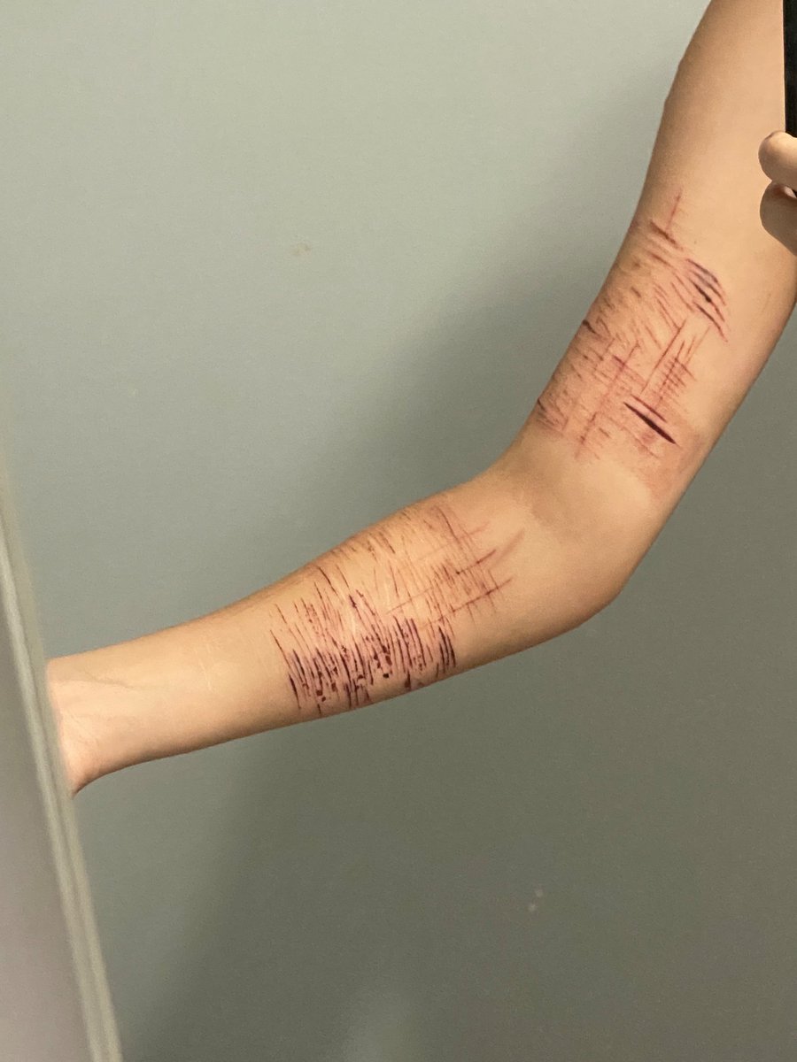 Dark Age Dazai of SHEDTWT tweet media